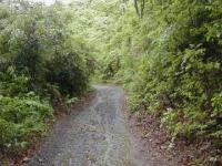 烏帽子岳遊歩道