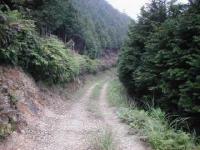 木立畑の浦峠尻高山林道