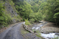 中津川林道