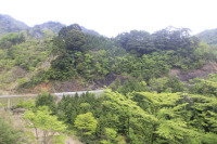 相の原毛谷村林道