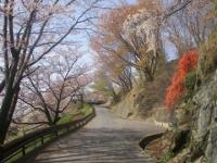 沼田新田酒寄林道