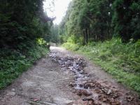 頭殿山登山道