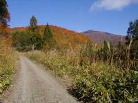 横川林道