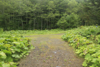 初の沢林道・新斗満林道