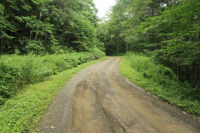 上芭露志撫子間道路