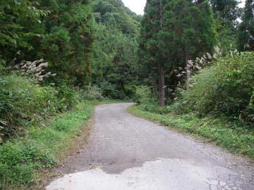 木賊平林道
