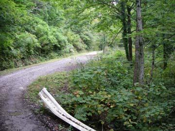 玉川林道
