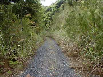 赤房林道