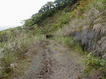 赤房林道