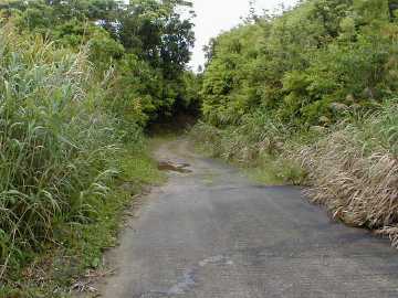 岩崎林道