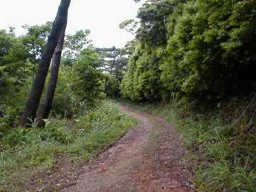 岩崎林道