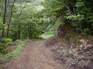 岩崎林道