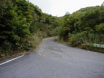 湯湾岳林道芦検支線林道