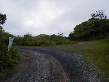 湯湾岳林道芦検支線林道
