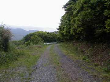 湯湾岳林道芦検支線林道