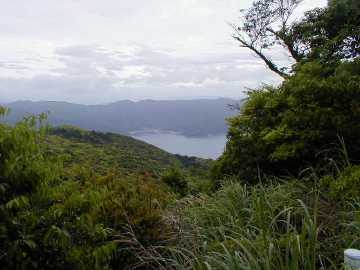 湯湾岳林道芦検支線林道