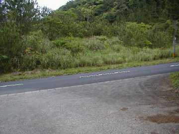 湯湾岳林道芦検支線林道