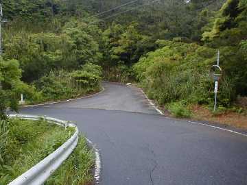 実久林道