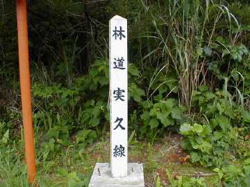実久林道