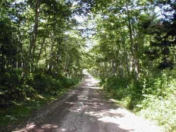 道道阿寒公園鶴居線(1093線・鶴見峠)