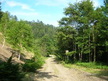 釧勝峠林道