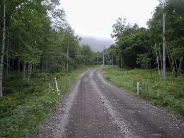 芽登糠南林道