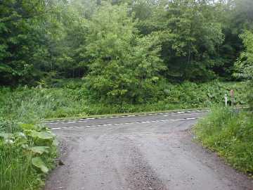 芽登糠南林道