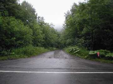芽登糠南林道
