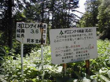 オロエンナイ林道