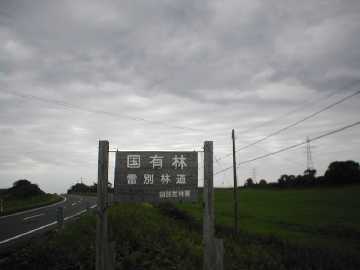 雷別林道