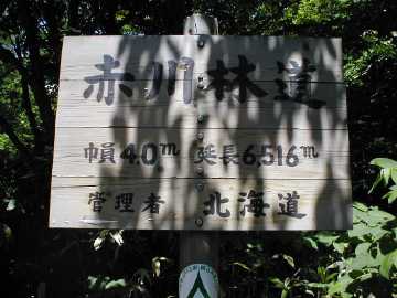 赤川寅沢林道