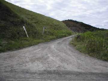 バイラギ林道