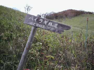 バイラギ林道