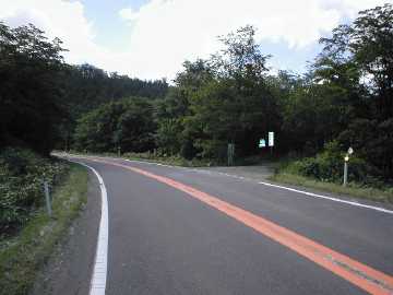 蛾眉野林道