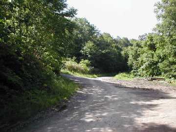 蛾眉野林道
