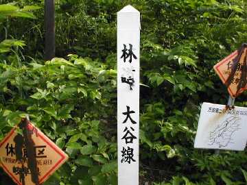 大谷林道（小坂谷林道）