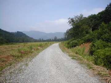 大谷林道（小坂谷林道）