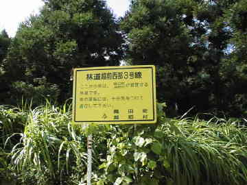 越前西部三号林道