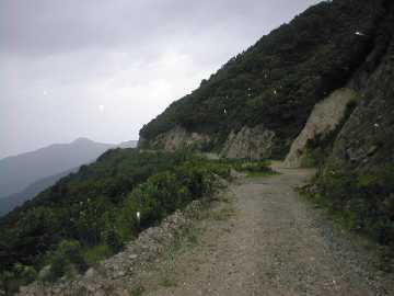 岩屋林道