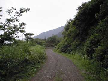 県道203（池田南条線）