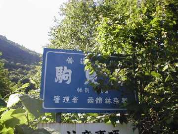 駒見林道