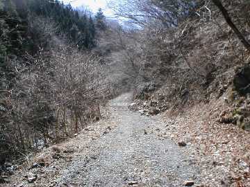 極楽沢林道