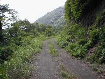 和佐谷秋生林道