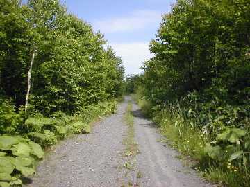 町道水上立川線
