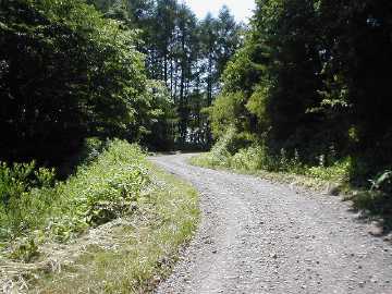 幌内高丘林道
