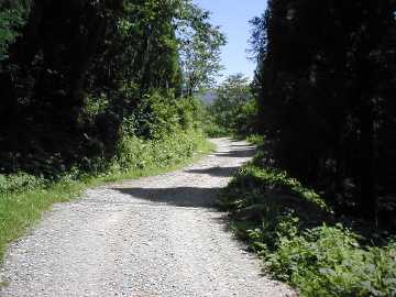 有峰林道