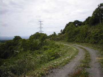 美利河種別林道