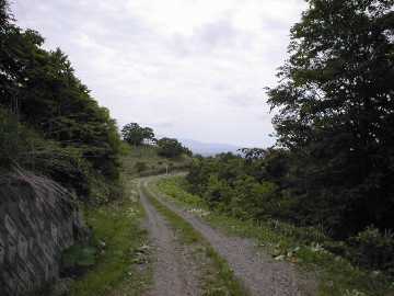 美利河種別林道