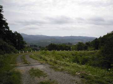 美利河種別林道