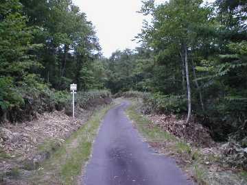 美利河種別林道